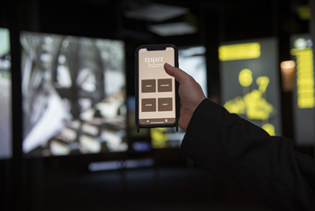 La piattaforma Emma e le nuove forme di Management Museale