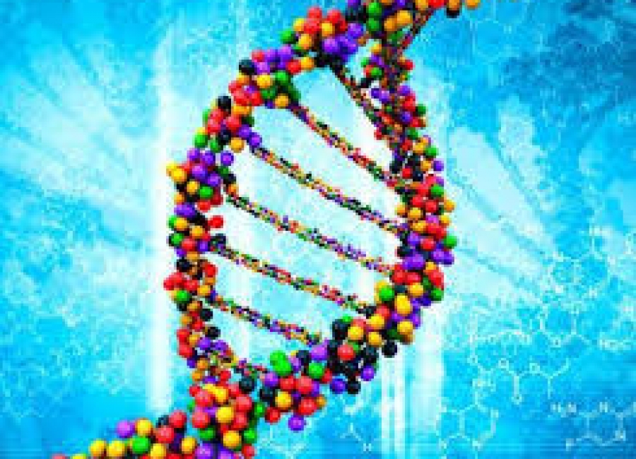 Nuova luce sulla storia genetica della Sardegna
