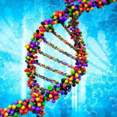 Nuova luce sulla storia genetica della Sardegna