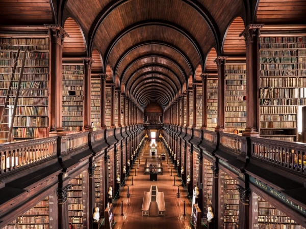 Arsenico e vecchi libri. Come si avvelena il bibliotecario.