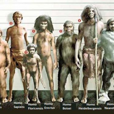 Homo sapiens in Europa oltre 45.000 anni fa e incontrò gli uomini di Neanderthal