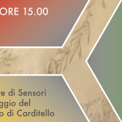 Progetto RE-SEMIRTO: Rete di Sensori Wireless per il Monitoraggio del Microclima nel Real Sito di Carditello