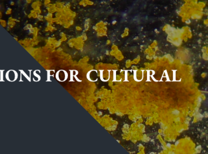 Corso di Formazione: Soluzioni Bio per i Beni Culturali