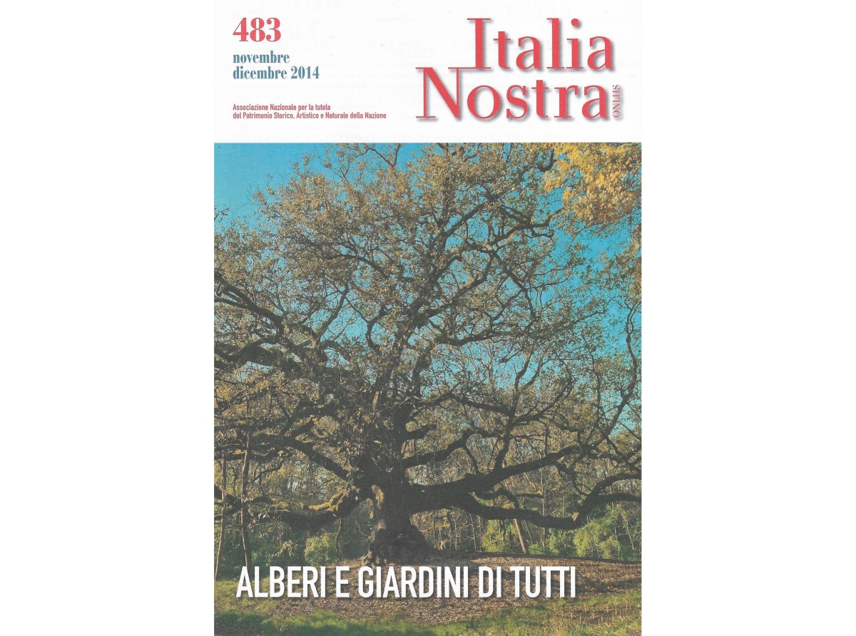 Alberi in città