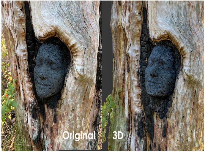 Il patrimonio si visita anche da casa