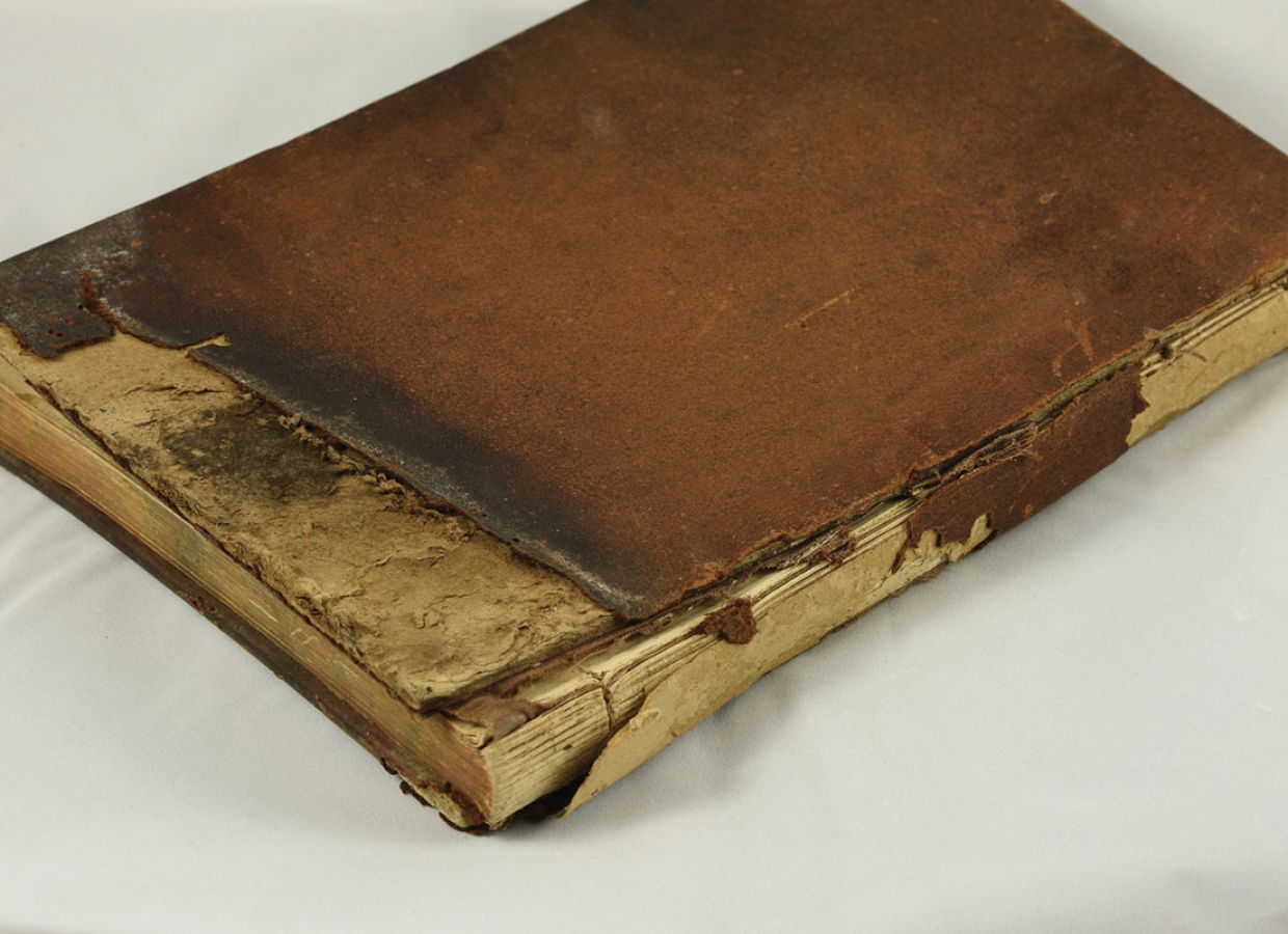 AFAF: Recupero digitale e filologico del manoscritto L.II.14 danneggiato dall’incendio del 1904