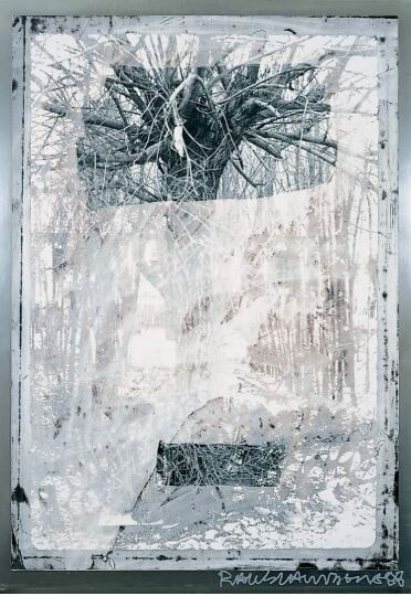 polaroid raushenberg