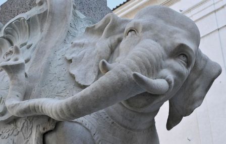 elefante