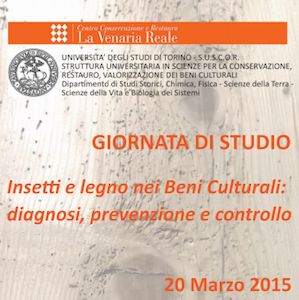 giornata insetti