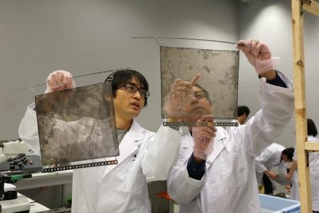 Muons emulsion films