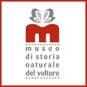 museo vulture