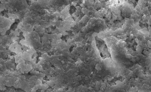 nanoparticelle