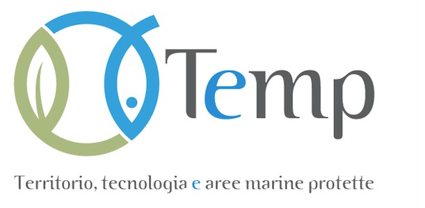 temp logo