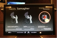 capsella samagher7