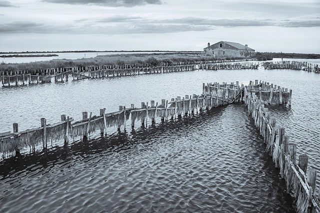 1° classificato Vanni Lazzari – Casone Serilla, ex stazione di pesca a capo dell’omonimo quartiere di valle, parte del Museo delle valli di Comacchio.