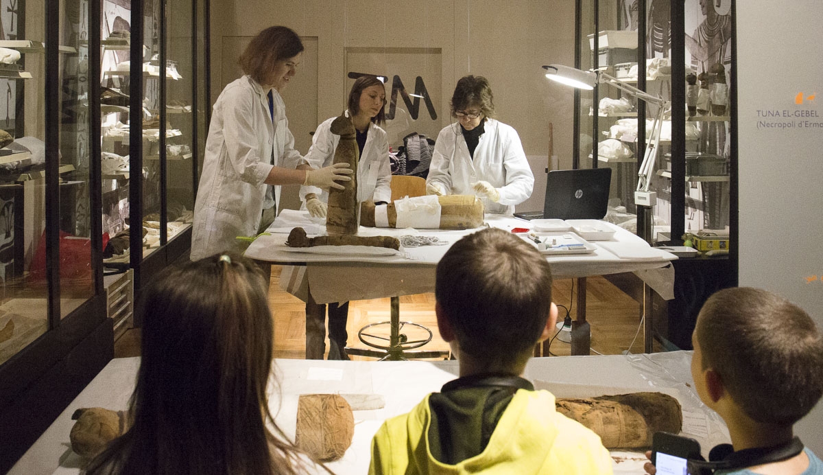 La collezione di mummie animali del Museo Egizio di Torino: diagnostica, restauro e conservazione
