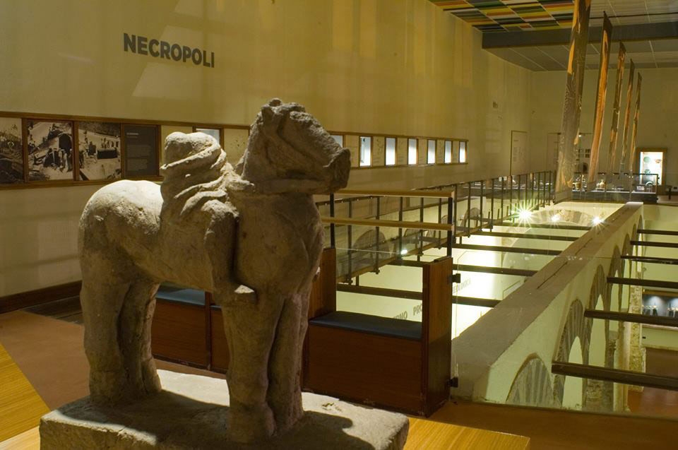 L’app dei Musei Provinciali di Salerno realizzata da izi.TRAVEL
