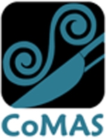 Nuove tecnologie per la conservazione e il restauro del patrimonio archeologico sommerso: i risultati del progetto COMAS