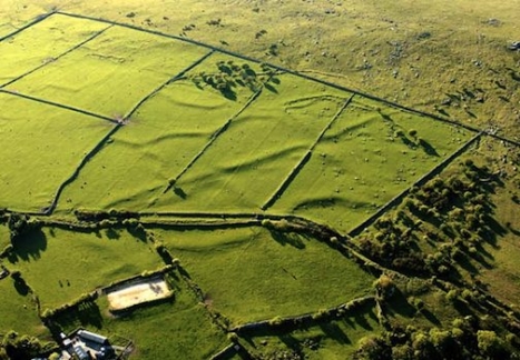 cornish